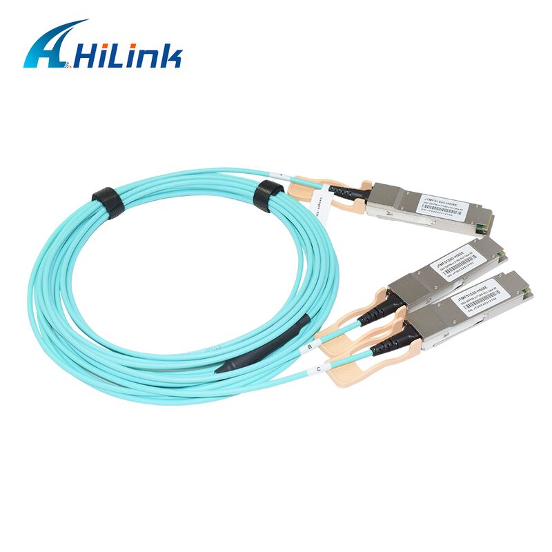 Hilink 200G QSFP56 to 2*100G Active Optical Cable with Customizable Length and 3 Years Warranty